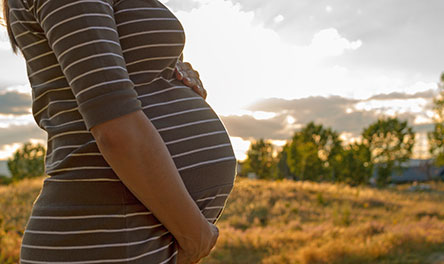 A pregnant woman with her hands on her swelling belly. Christian values teach us all life is precious from conception.